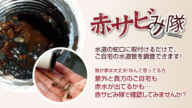 赤サビみ隊